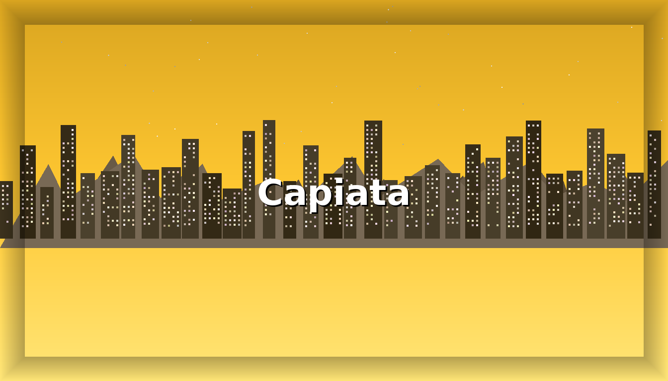 Chat Capiata - Imagen representativa de Capiata